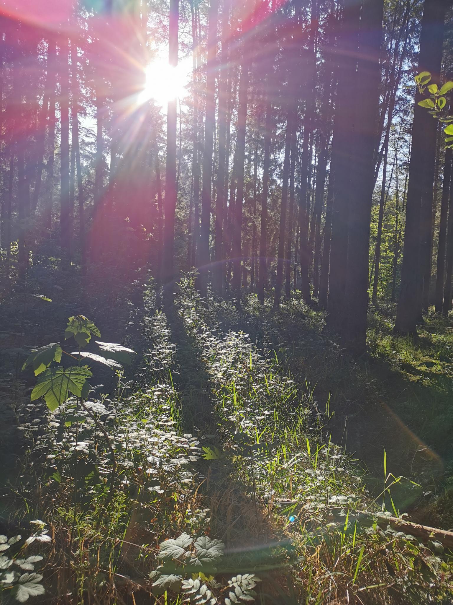 Silent Inner Journey